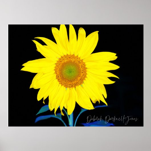 Jij bent mijn zonnebloem poster (Voorkant)