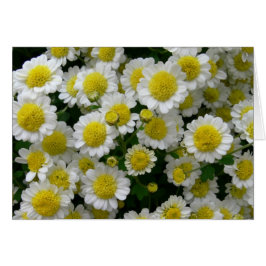 Jij bent mijn zonneschijn