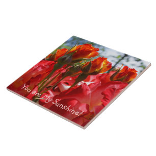 Jij bent mijn zonneschijn! cadeaus Tegels Kunst Te Tegeltje