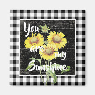 Jij bent mijn zonneschijnmagneet magneet