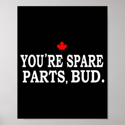Jij bent reserveonderdelen, vriend - Grappig Poster (Voorkant)
