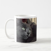 Jij blijft altijd mijn baby. Kat koffiemok