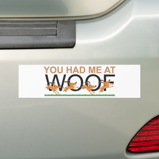JIJ HAD ME OP DE WOOF BUMPERSTICKER (Op auto)