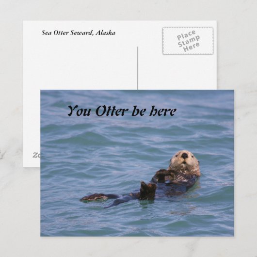 Jij Otter bent hier Briefkaart (Voorkant / Achterkant)