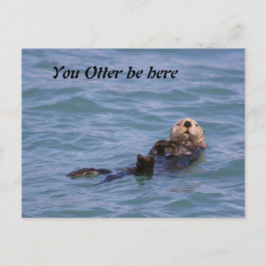 Jij Otter bent hier Briefkaart (Voorkant)