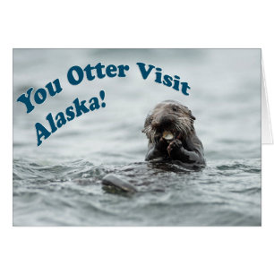 Jij Otter Bezoek Alaska