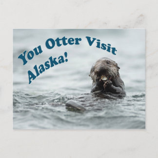 Jij Otter Bezoek Alaska Briefkaart