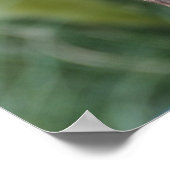 JIJ SPEELT ME AAN? - poster/afdruk Poster (Hoek)