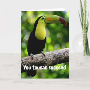 Jij toekan slaagt kaart