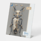 JILANY RECLAMEBORD MET VOETSTUK (Voorkant)