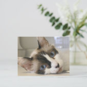 Jillie Briefkaart (Staand voorkant)