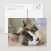 Jillie Briefkaart (Voorkant / Achterkant)