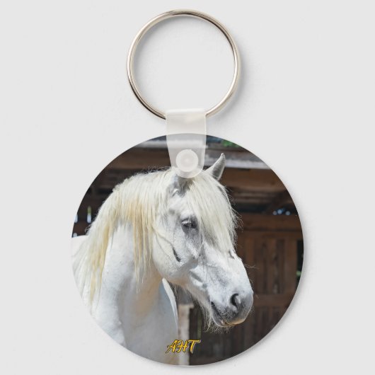 Jilly Horse Rescue Sleutelhanger (Voorkant)