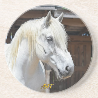 Jilly Horse Rescue Zandsteen Onderzetter