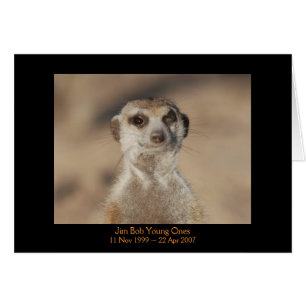 Jim Bob - Legends Card