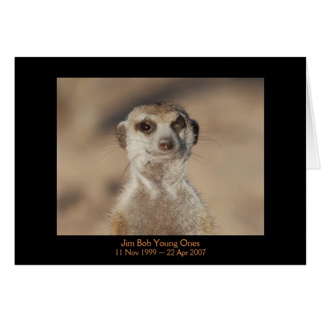 Jim Bob - Legends Card (Voorkant Horizontaal)