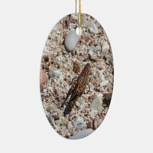 Jiminy Cricket Keramisch Ornament (Rechts)