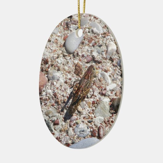 Jiminy Cricket Keramisch Ornament (Links)