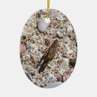 Jiminy Cricket Keramisch Ornament