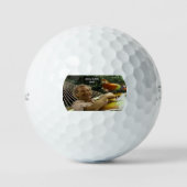 Jimmy Buffett Golfballen (Voorkant)