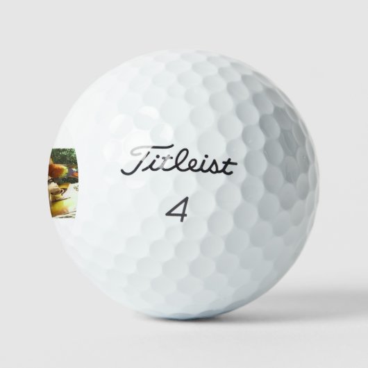 Jimmy Buffett Golfballen (Logo)