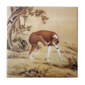 Jinchixian 金翅猃 ~ Greyhound ~ Giuseppe Castiglione~ Tegeltje (Voorkant)