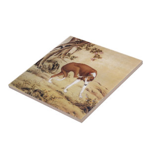 Jinchixian 金翅猃 ~ Greyhound ~ Giuseppe Castiglione~ Tegeltje