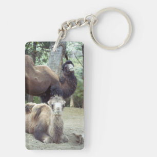 Jingle Baba en Purnimamma Sleutelhanger