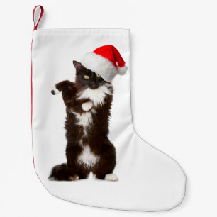Jingle Bell Rock Cat Kerstmis stoppen Kleine Kerstsok