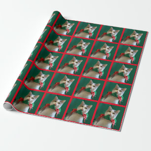 Jingle Cat Kerstmis Cadeaupapier