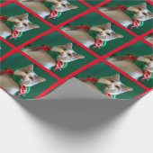 Jingle Cat Kerstmis Cadeaupapier (Hoek)