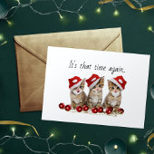 Jingle Cats Meowy Kerstmis Feestdagen Kaart