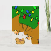 Jingle Claws Christmas Card Fun Cat Design Kaart (Voorkant)
