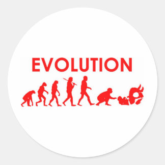Jiu Jitsu Evolution Ronde Sticker