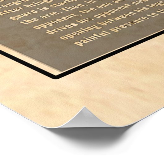 Jiu Jitsu Knowledge Poster, Jiu Jitsu Poster (Hoek)