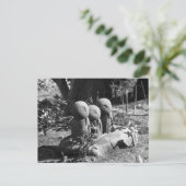 Jizo beelden, Hase tempel: Kamakura, Japan Briefkaart (Staand voorkant)