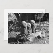 Jizo beelden, Hase tempel: Kamakura, Japan Briefkaart (Voorkant / Achterkant)