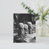 Jizo Statues, Hase Temple: Kamakura, Japan Postcar Briefkaart (Staand voorkant)