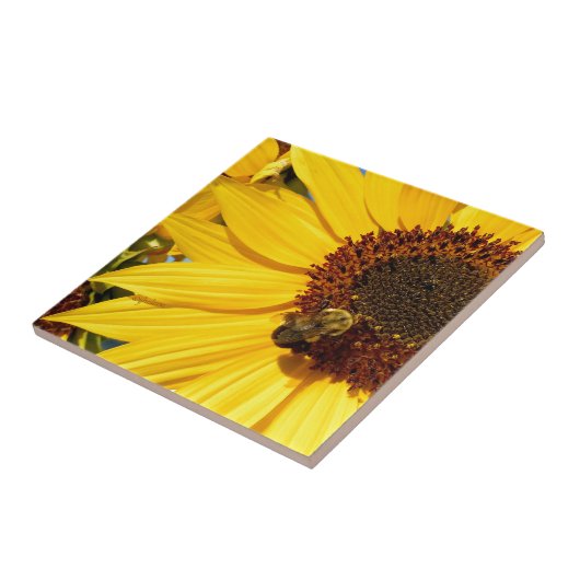 jjhelene "Teddy Bear Queen Bee" Design Tegeltje (Zijkant)