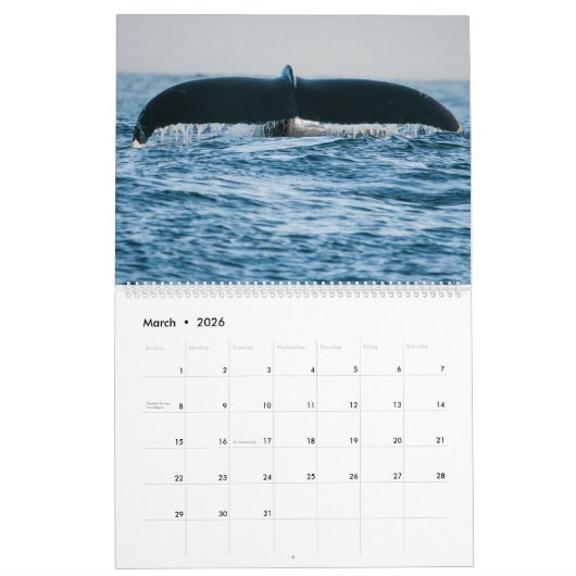 JK Day Fotografie 2016-Natuur agenda Kalender (Mar 2026)