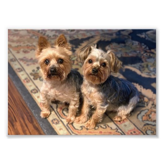 JoAn Nicolas Rosie Foto Afdruk (Voorkant)