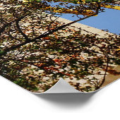 Joan of Arc, New Orleans, Louisiana Poster (Hoek)