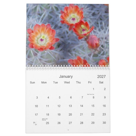 Joanne L Gallery Photography 2012 Kalender (Jan 2027)