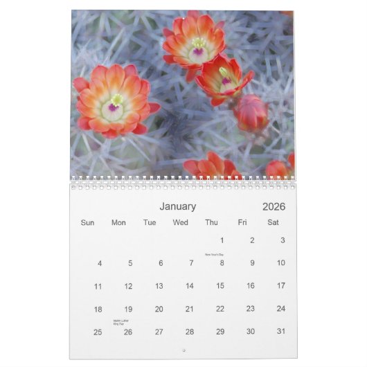 Joanne L Gallery Photography 2012 Kalender (Jan 2026)