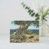 Joaquin Sorolla - de Johannesbroodboom Briefkaart (Staand voorkant)