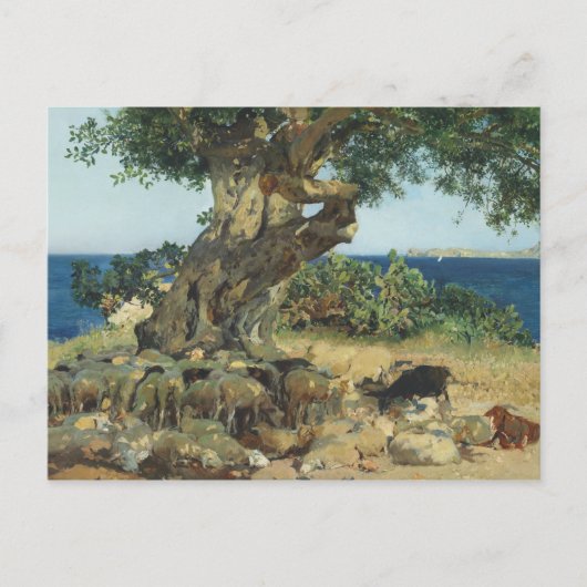 Joaquin Sorolla - de Johannesbroodboom Briefkaart (Voorkant)
