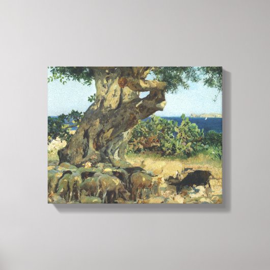 Joaquin Sorolla - de Johannesbroodboom Canvas Afdruk (Voorkant)