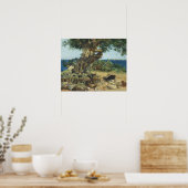 Joaquin Sorolla - de Johannesbroodboom Poster (Keuken)