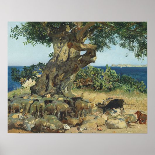 Joaquin Sorolla - de Johannesbroodboom Poster (Voorkant)