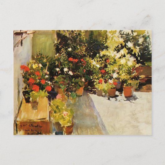 Joaquín Sorolla - Een daktop met bloemen Briefkaart (Voorkant)